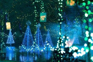 Festival de las Luces del Jardín Botnico VanDusen Vancouver Canad con rboles navideños de luces en lago