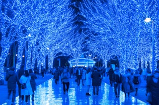 Iluminaciones de invierno Tokio Japón con pasaje de rboles iluminados y gente caminando