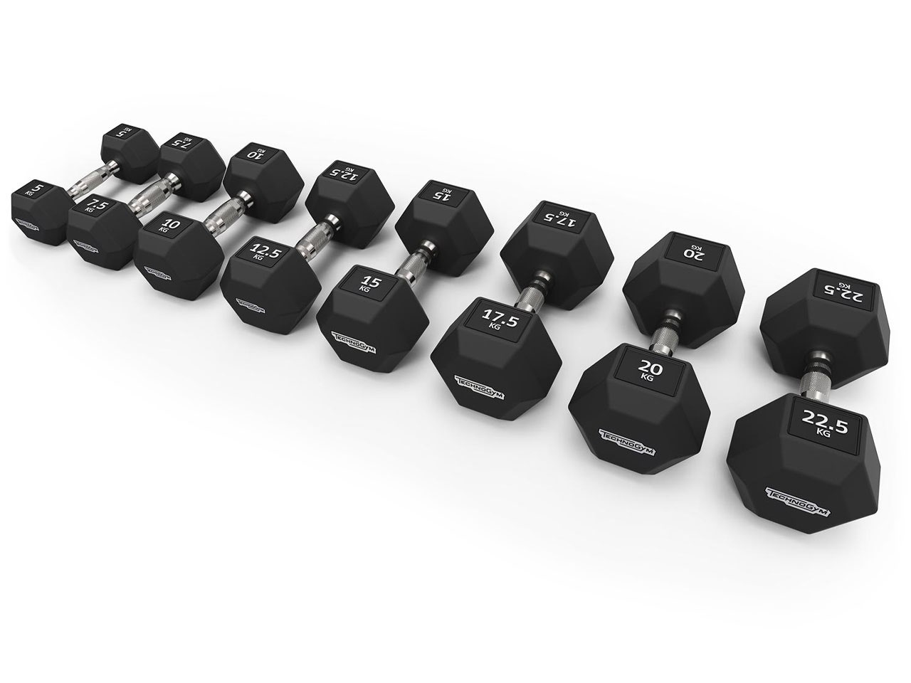 Technogym Hexagon Dumbbell 啞鈴，單顆，NT1400（GQ SHOP發售）