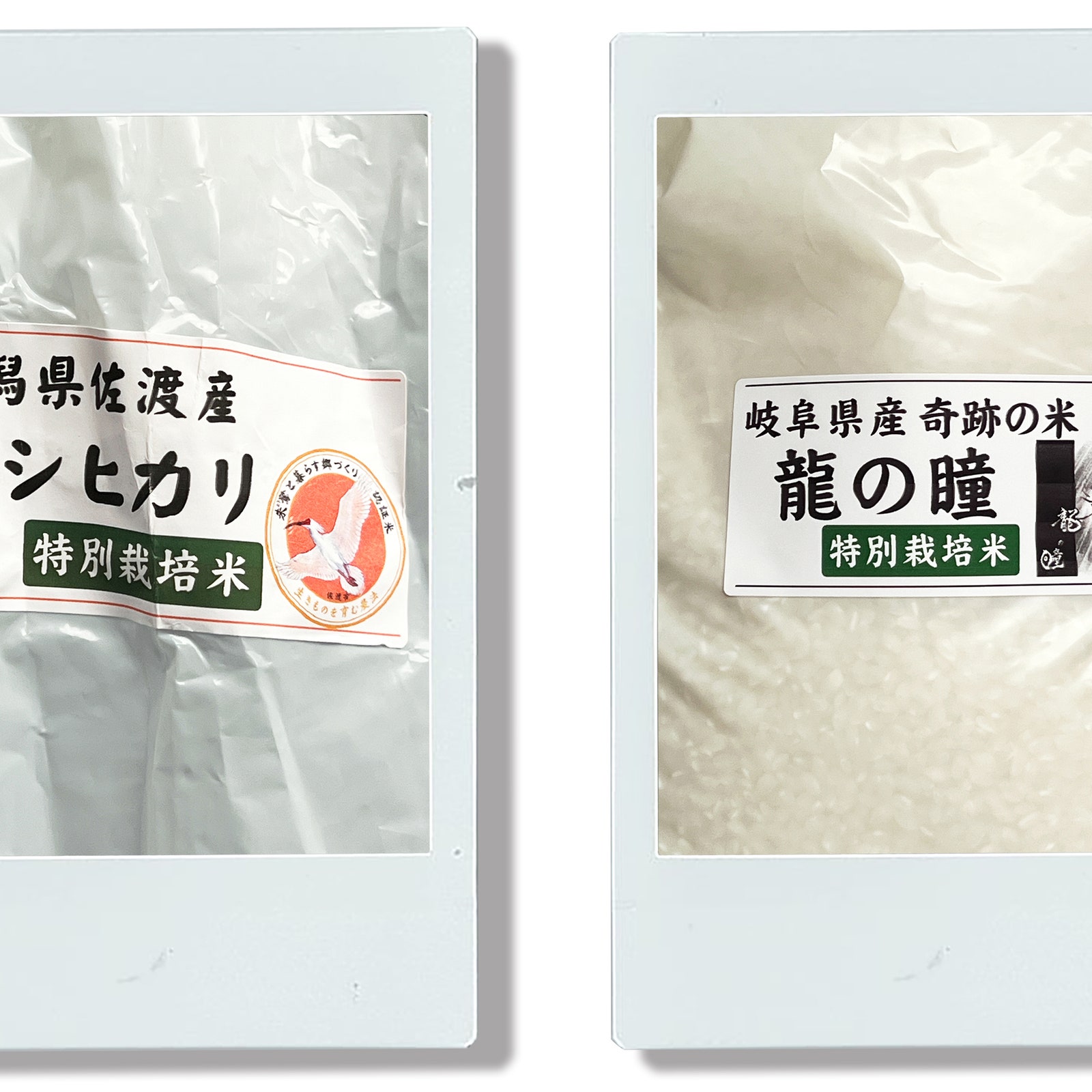 佐渡の米「朱鷺と暮らす郷」から、岐阜の米「龍の瞳」まで、食担当がハマった9月のハイ＆ロー