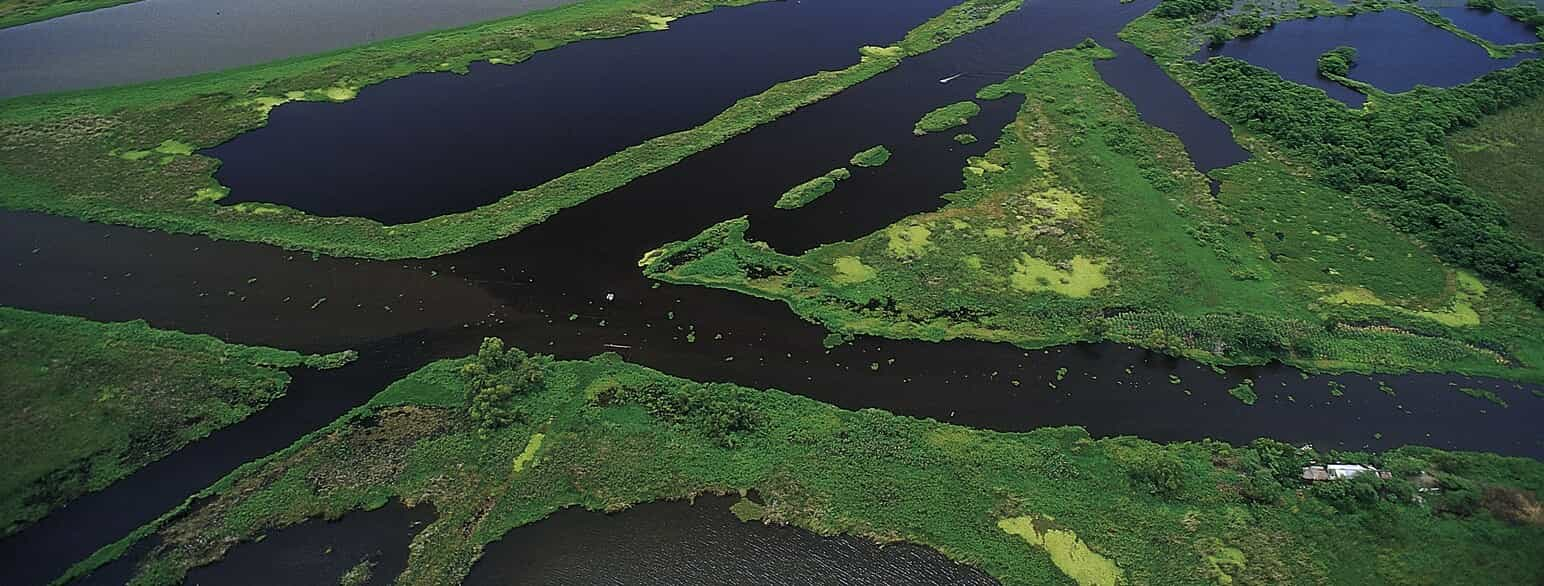 Pantanos de Centla er et stort skovdækket vådområde nordøst for Villahermose. Det har været biosfærereservat siden 2006