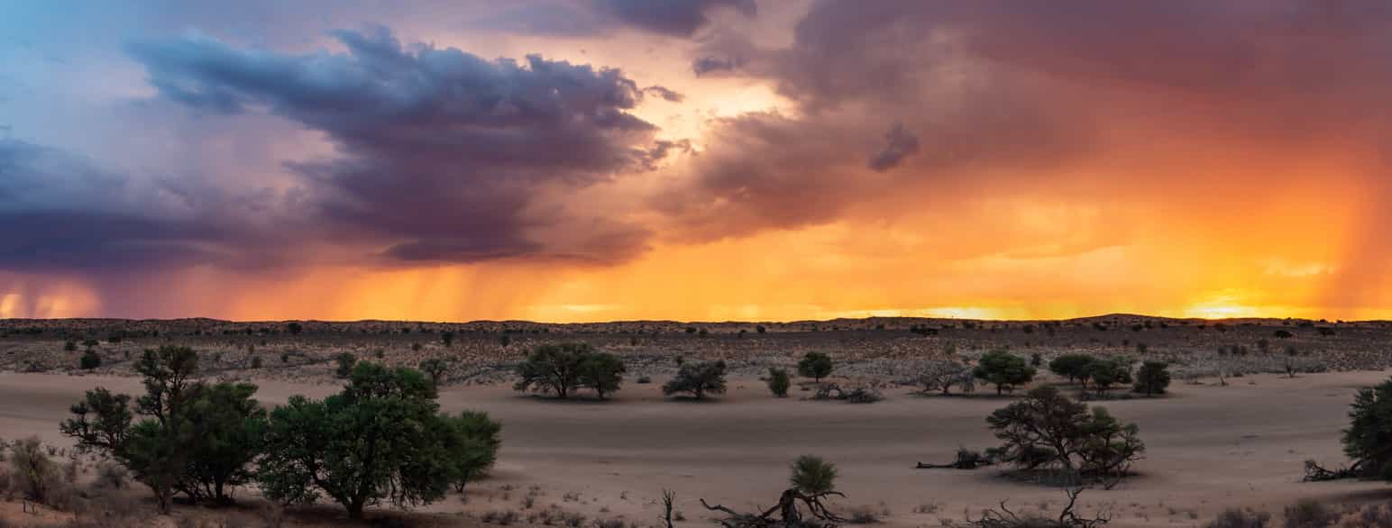 Kgalagadi Transfrontier Park