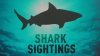 Long Island beach closed after confirmed shark sighting