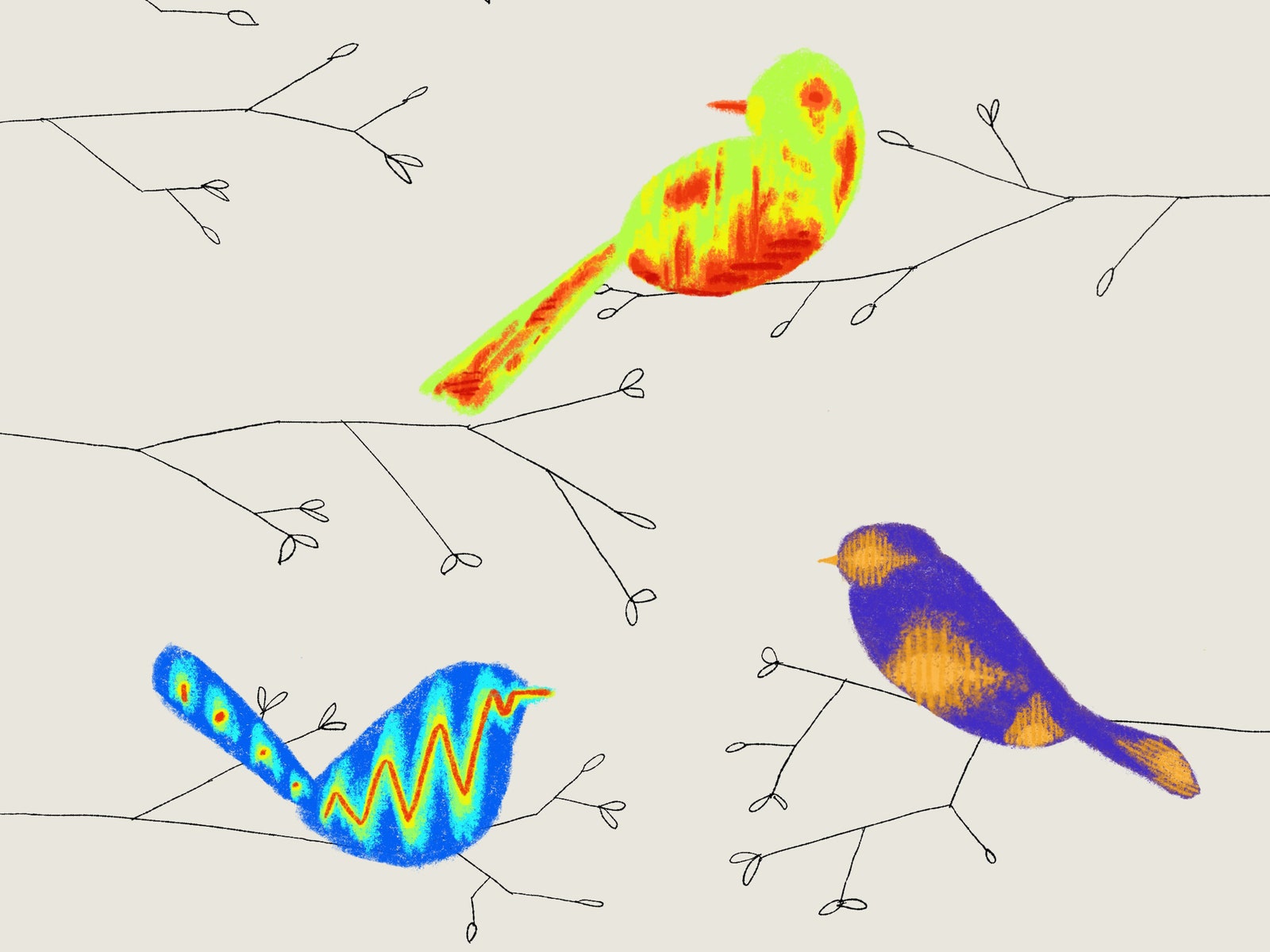 How Scientists Started to Decode Birdsong