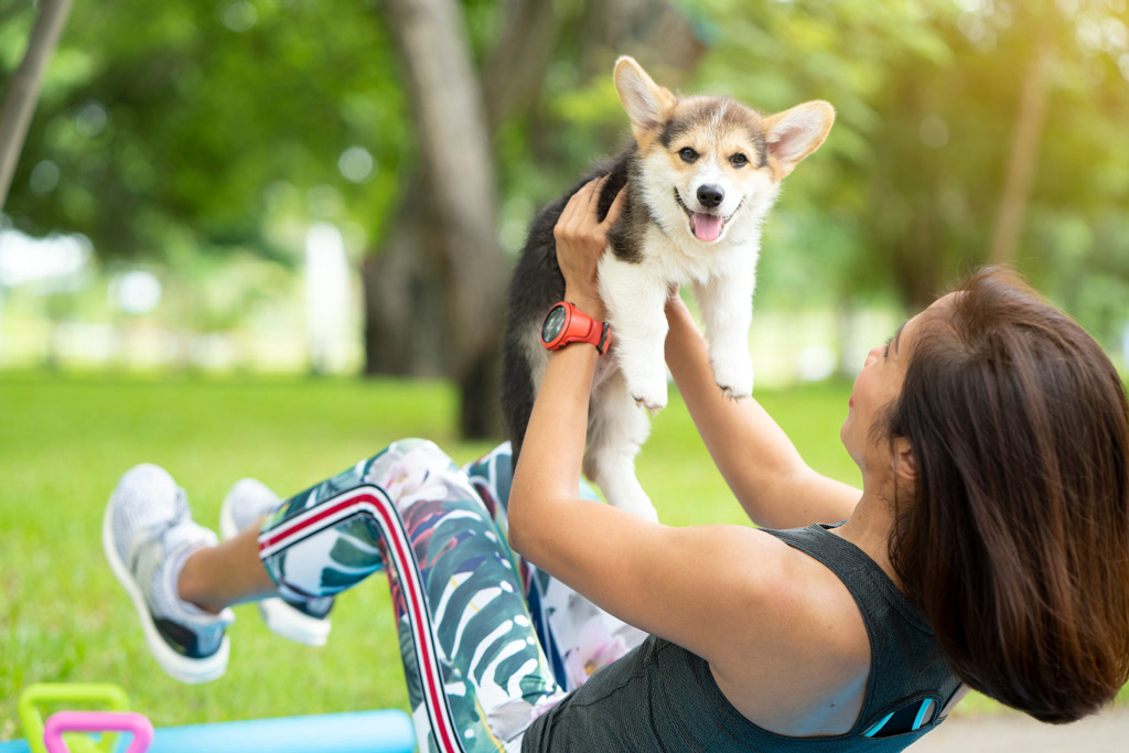 dog-exercise-needs