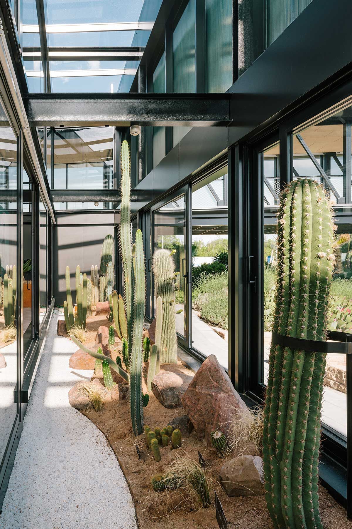 Desert City el jardín de cactus en Madrid