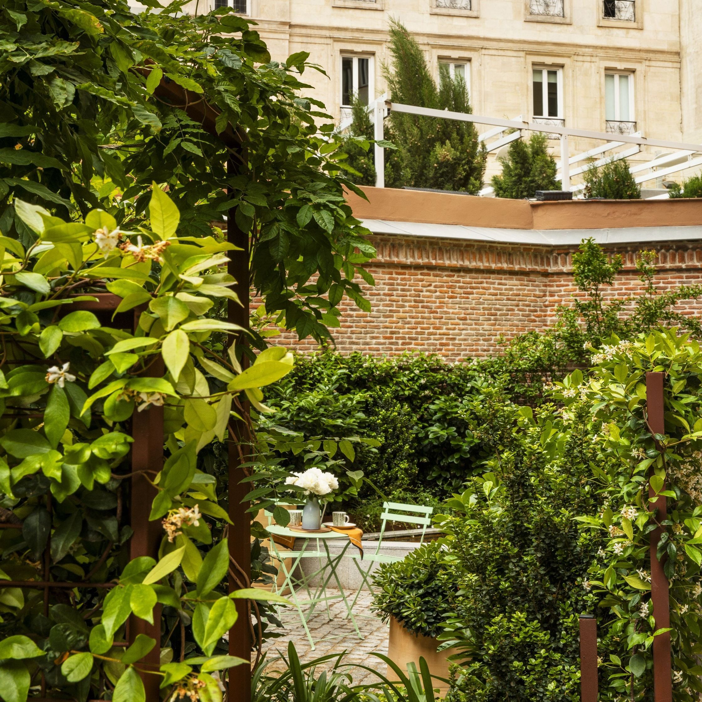 Cómo cuidar tu jardín en tiempos de sequía esta floristería de Barcelona tiene la clave para hacerlo