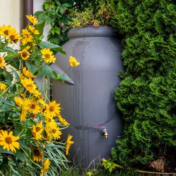 ¿Quieres ahorrar agua a la hora de regar tu jardín? Descubre el barril de lluvia, la nueva tendencia en paisajismo… que inventaron los griegos