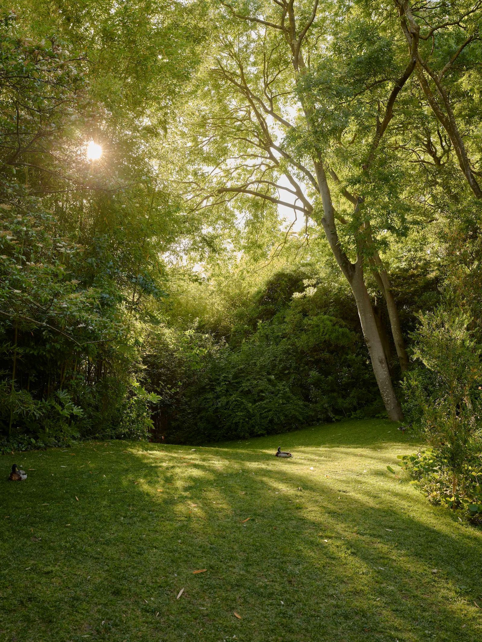 Parque Gulbenkian en Lisboa