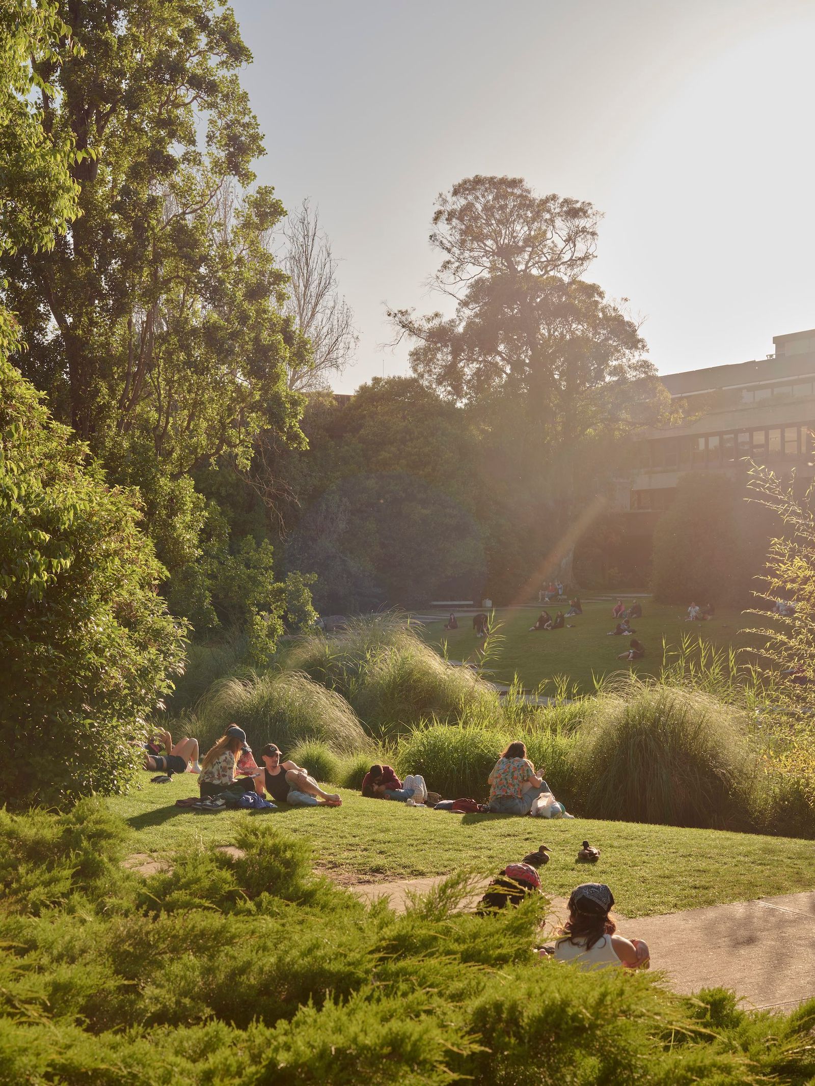 Parque Gulbenkian en Lisboa