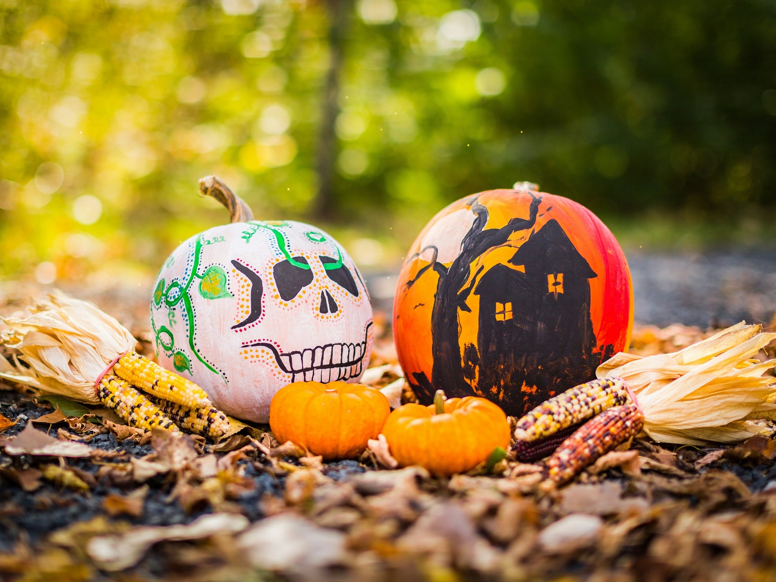 Cómo pintar una calabaza de Halloween