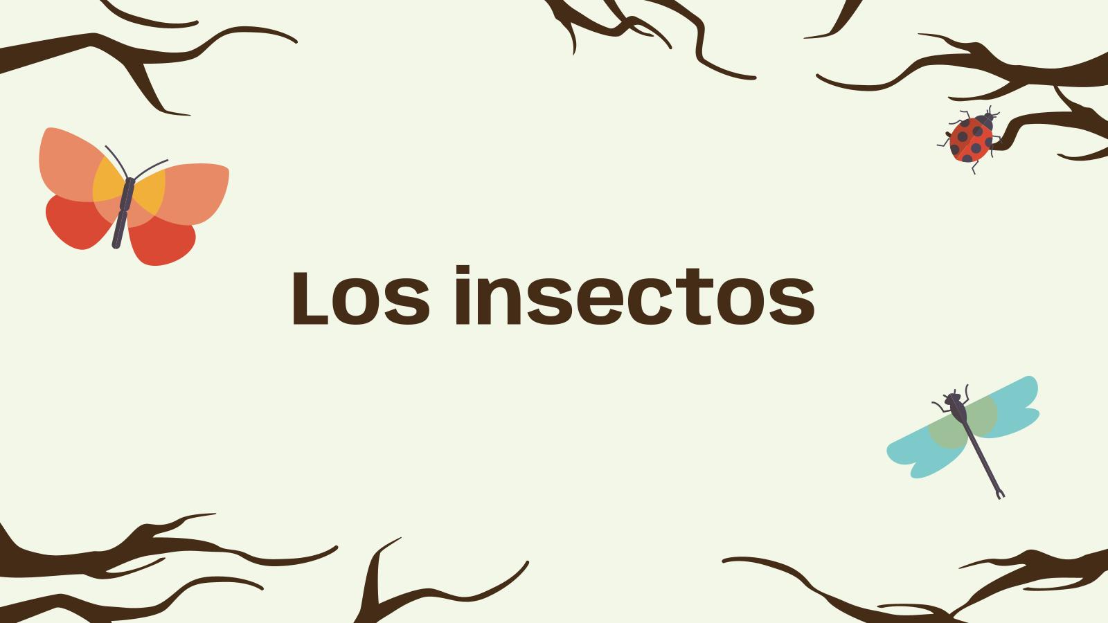 Insects presentation template 