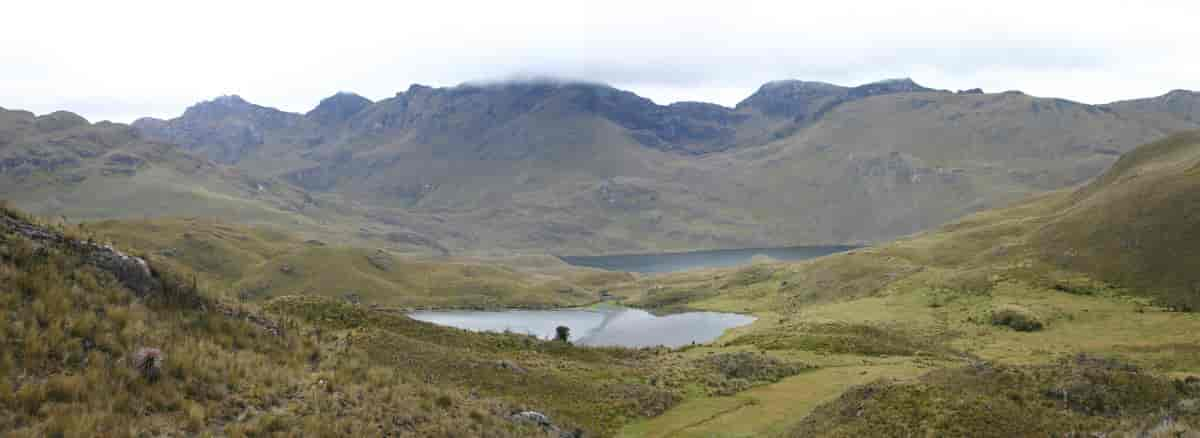 Páramo i Ecuador