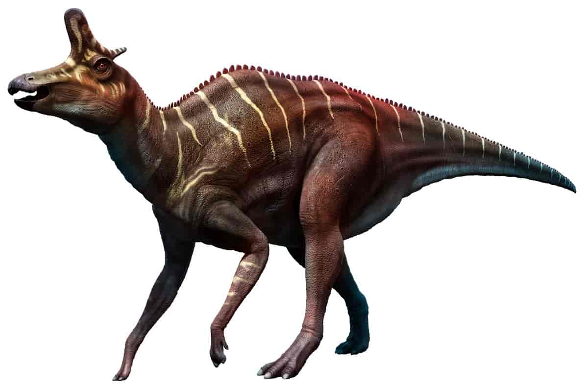 Lambeosaurus