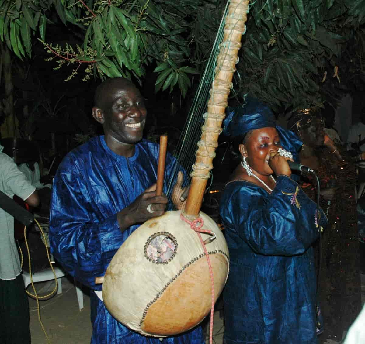 Grioter i Gambia