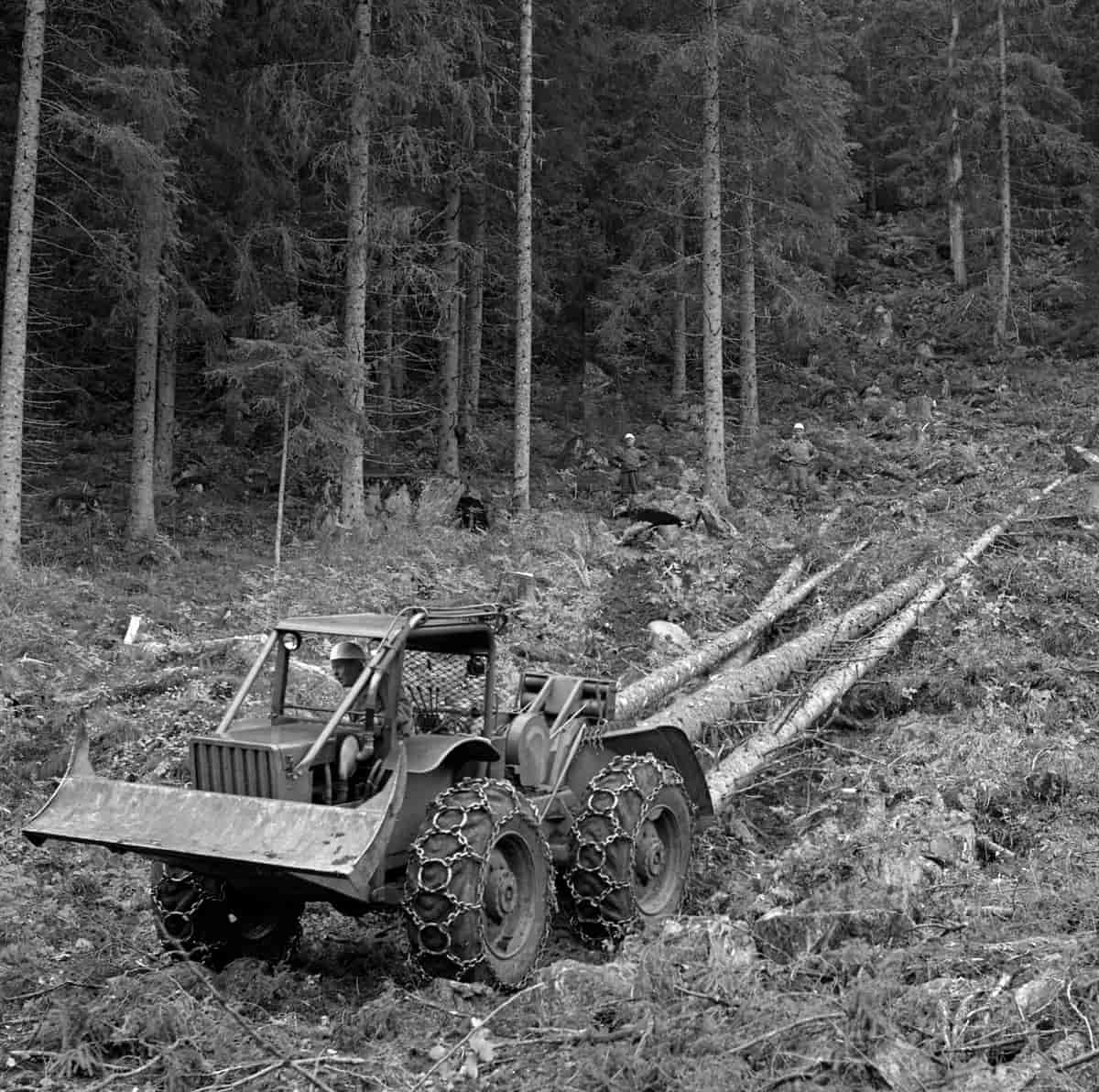 Helstammedrift med lunnetraktor