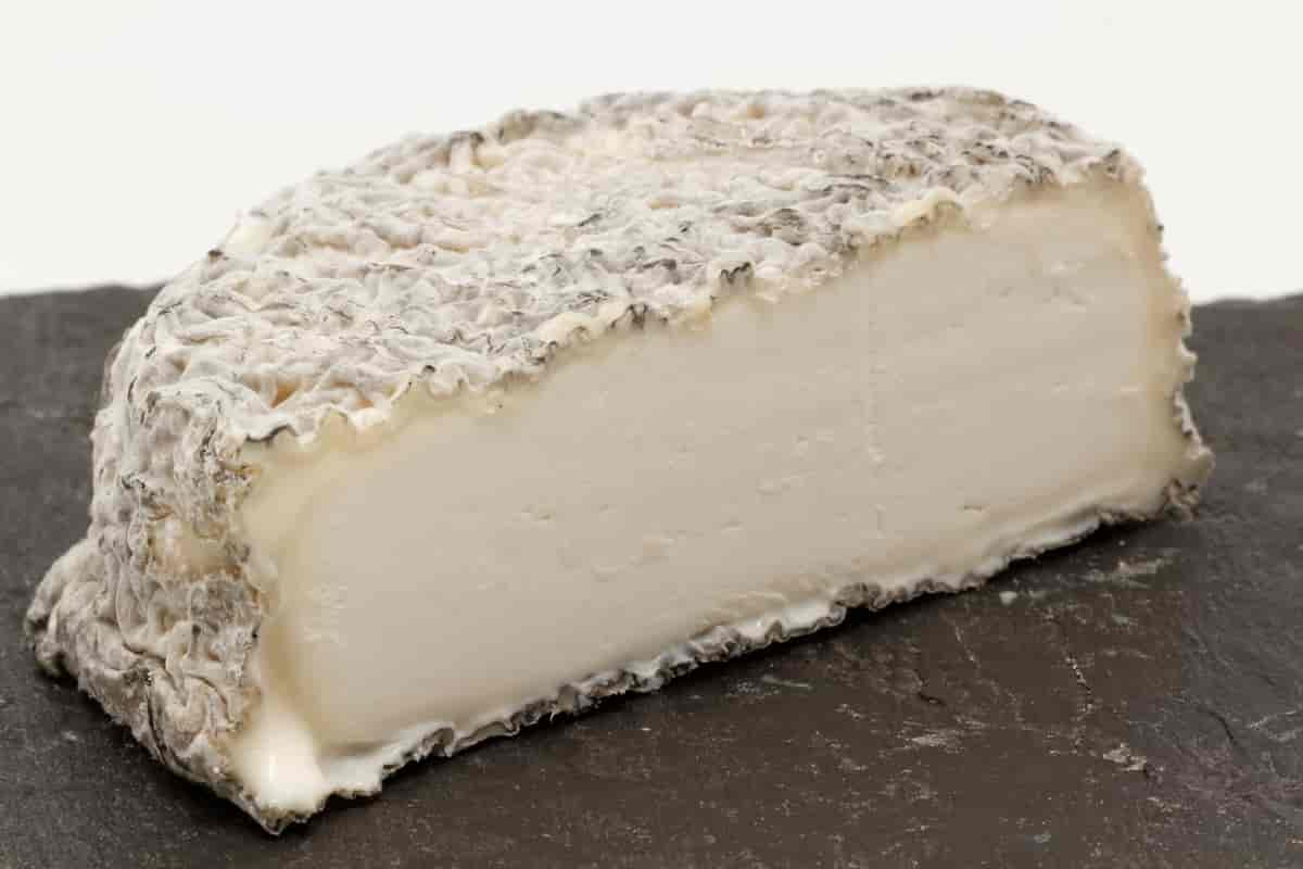 Chèvre cendré Le Sauvaget