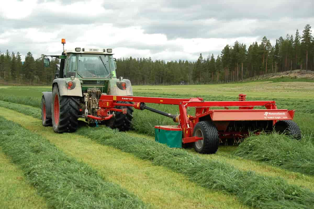 Skiveslåmaskin, fotografert i 2007