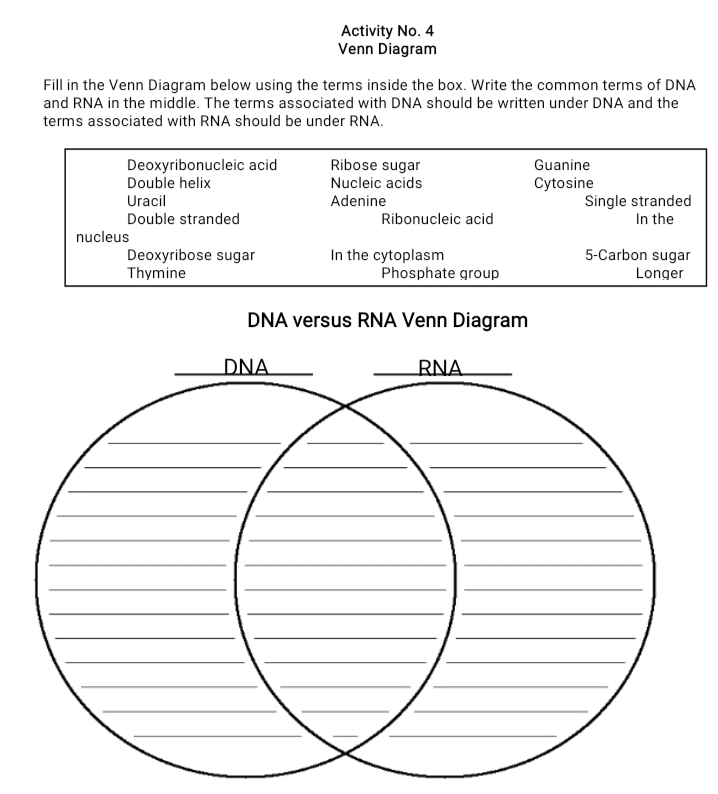 Activity No 4 Venn Diagram Fill in the Venn | StudyX