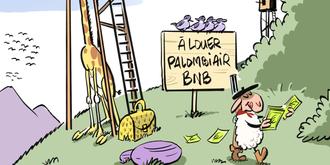 Pays basque : l’année 2024 vue par le dessinateur Jean Duverdier