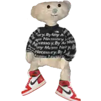 a teddy bear wearing a sweater that says " necessary " on it