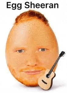 a man 's face is made out of an egg and a guitar .