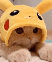 a cat is wearing a pikachu hat and looking at the camera .