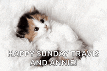 a calico kitten laying on a white blanket with the words " happy sunday travis and annie " below it