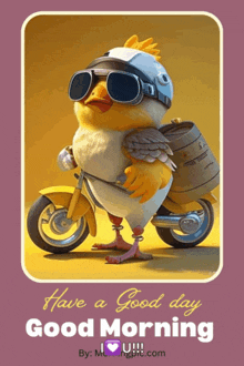 a cartoon chicken wearing a helmet and goggles rides a motorcycle