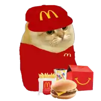 a cat wearing a red mcdonald 's hat and a red shirt