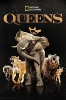 Miniseries - Queens