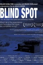 Blind Spot