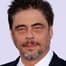 Benicio del Toro