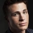 Colton Haynes