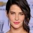 Cobie Smulders