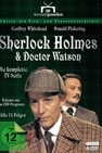 Sherlock Holmes and Dr. Watson