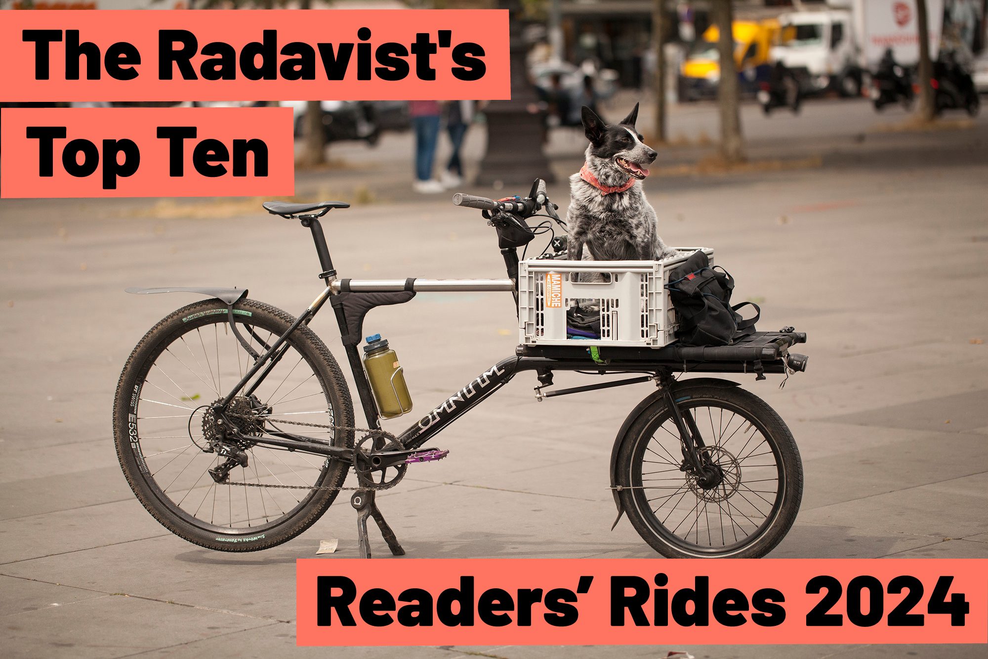 The Radavist's Top Ten Readers' Rides of 2024