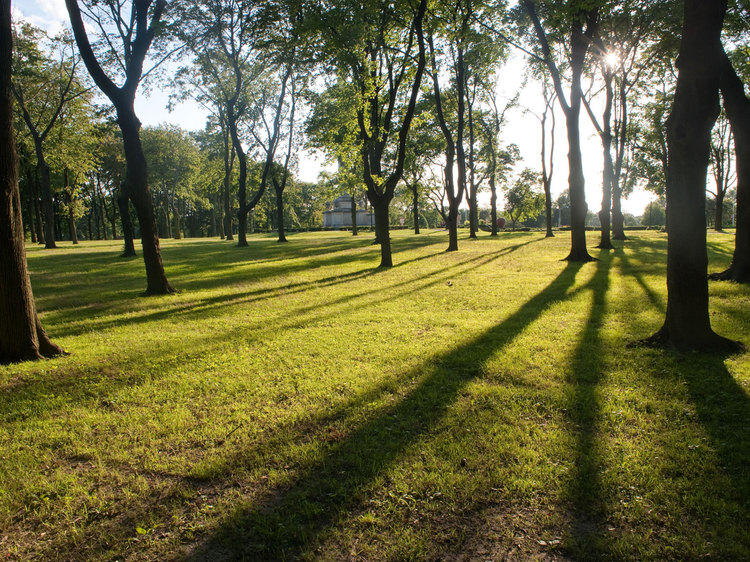 The best NYC parks