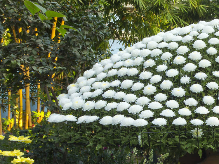 Snack on Stephen Starr’s sushi at the New York Botanical Garden this month