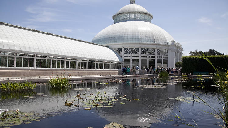 New York Botanical Garden