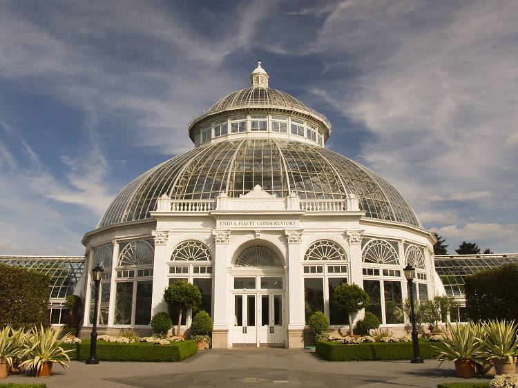 The best restaurants near the New York Botanical Garden