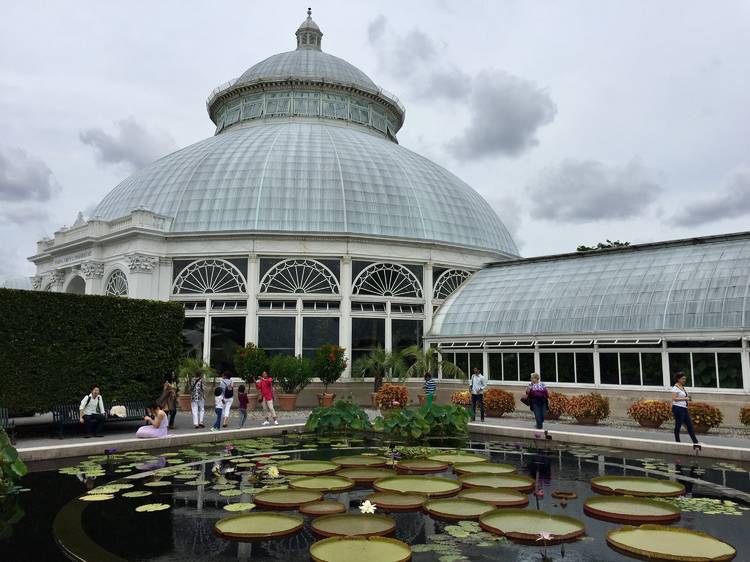 20 facts you definitely didn’t know about the New York Botanical Garden