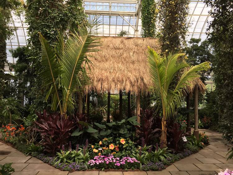 Here’s your first look at the gorgeous new Georgia O’Keeffe exhibit at the NYBG