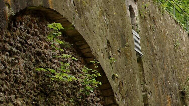 Stroll along the abandoned Petite Ceinture