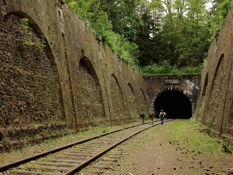 Stroll along the abandoned Petite Ceinture