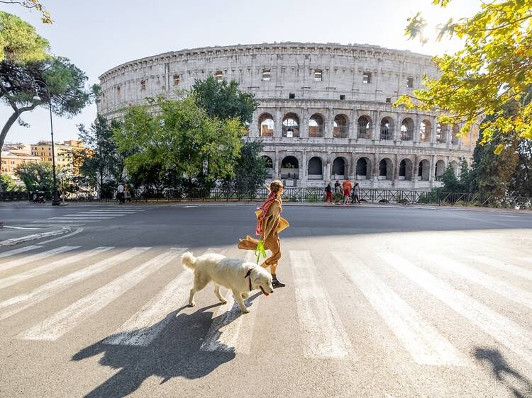 These Italian museums now offer visitors a free dog-sitting service