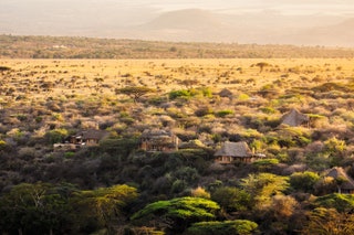 Lewa Wilderness