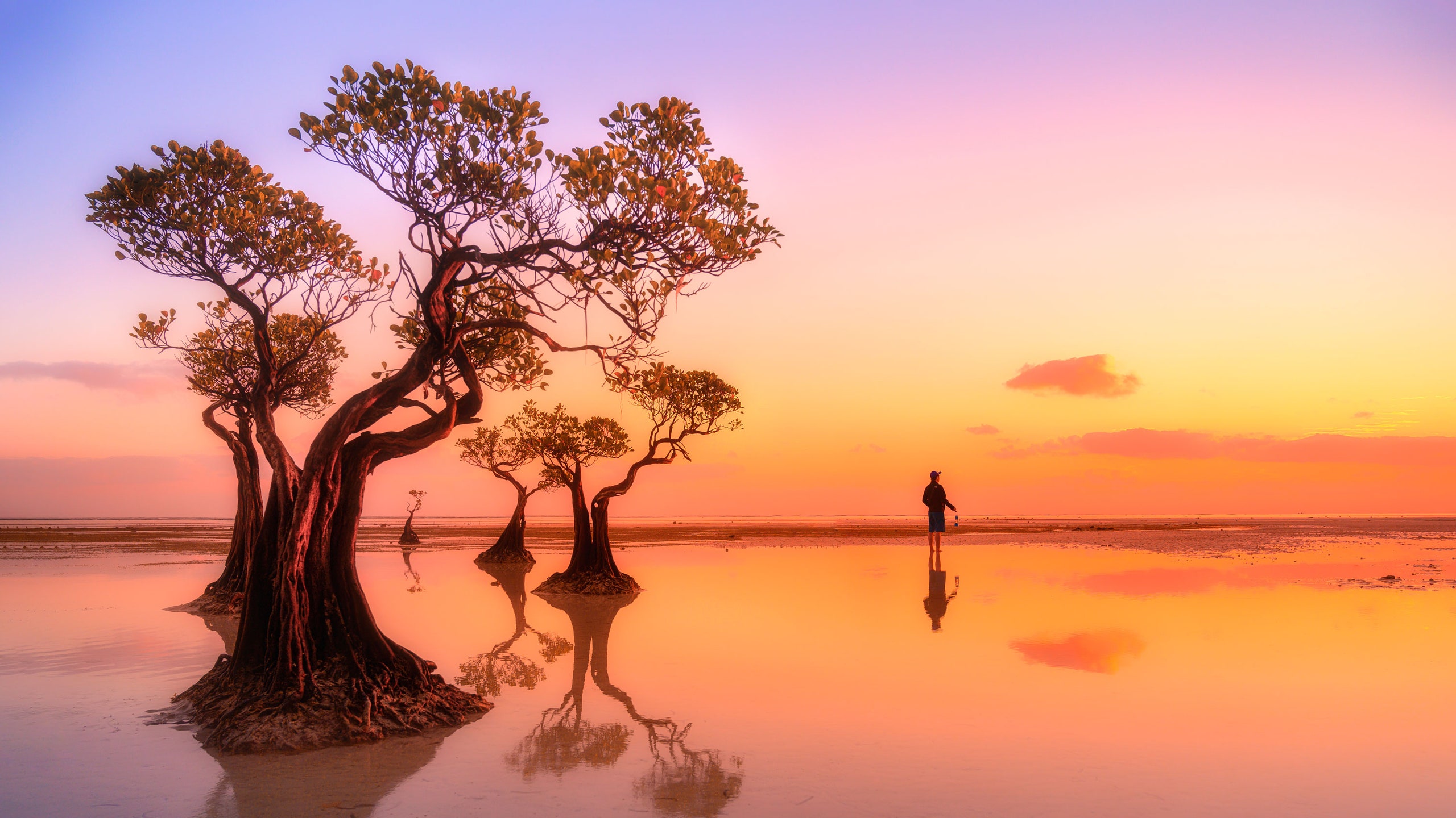 Atardecer en Sumba Indonesia