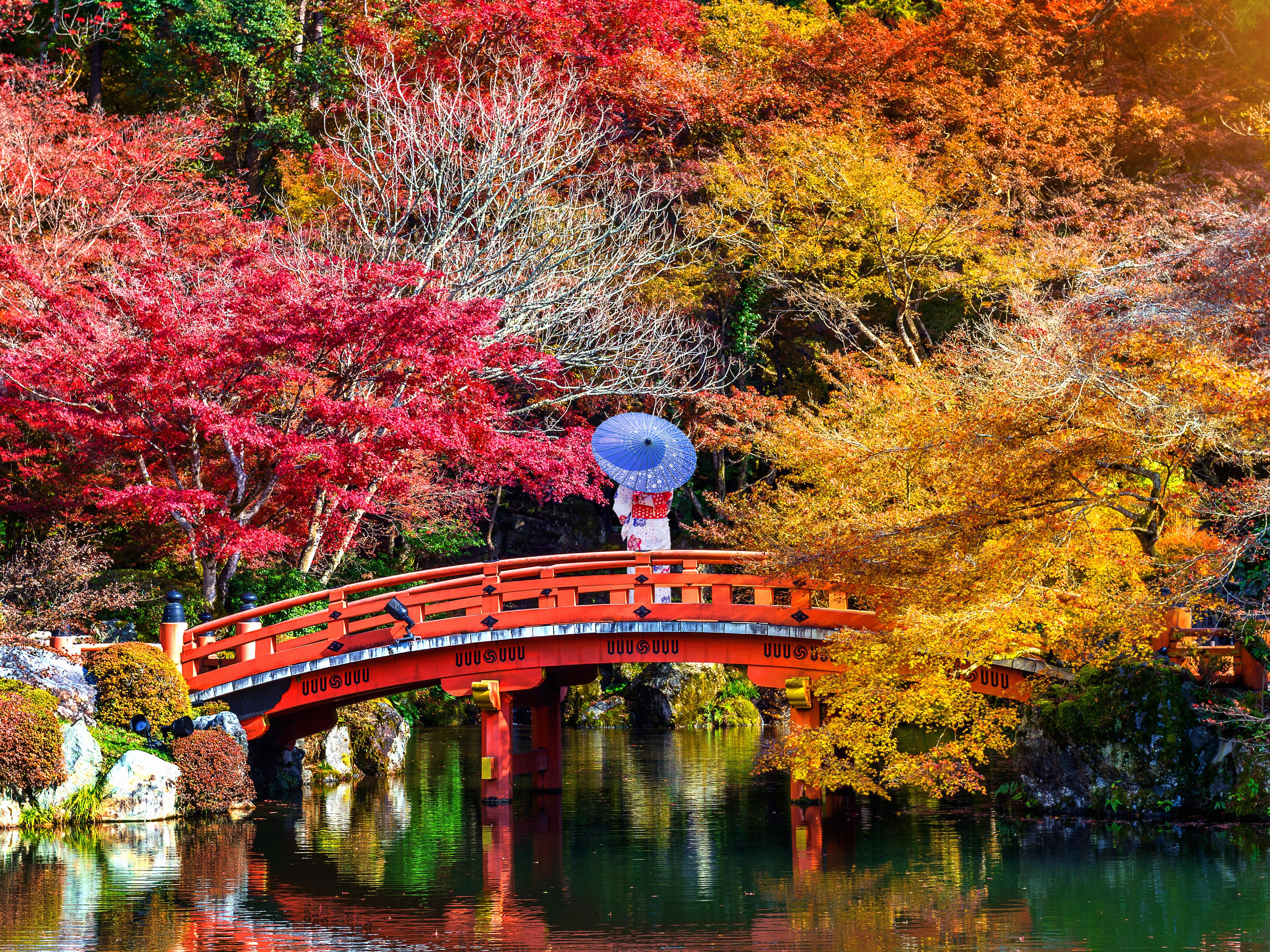 Ya llega el 'momiji’, y estos son los mejores lugares para disfrutar de sus preciosas estampas otoñales en Tokio