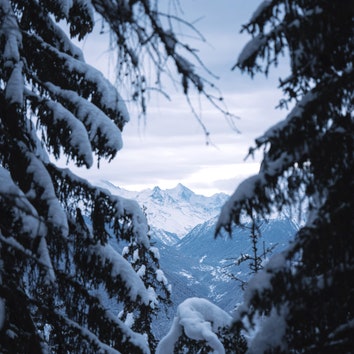 Un viaje olfativo a los Alpes suizos